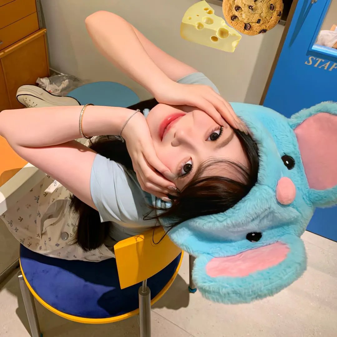 美国玛丽
